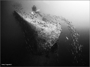 El Mina
Red Sea. Hurgada. Harbour wreck. 30 meters deep. by Dmitry Vinogradov 